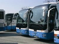 Bustransfers per Autobus und Minibus